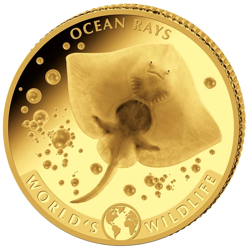 Moneta d'oro della Repubblica del Congo set 