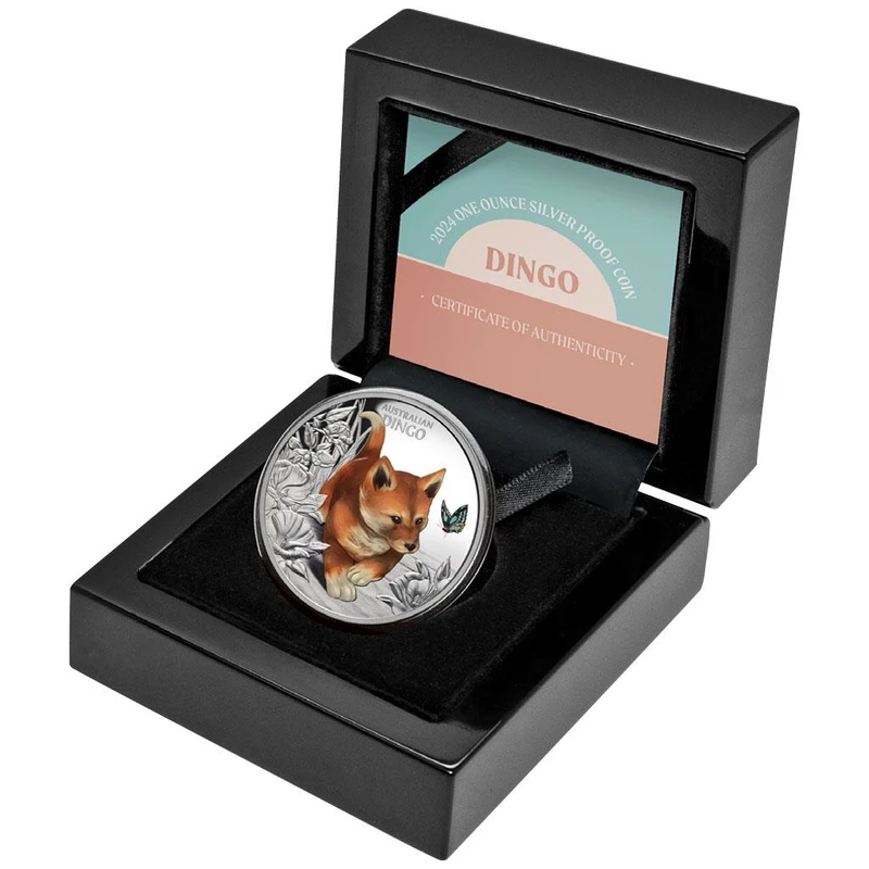 Pièce en argent Niue 