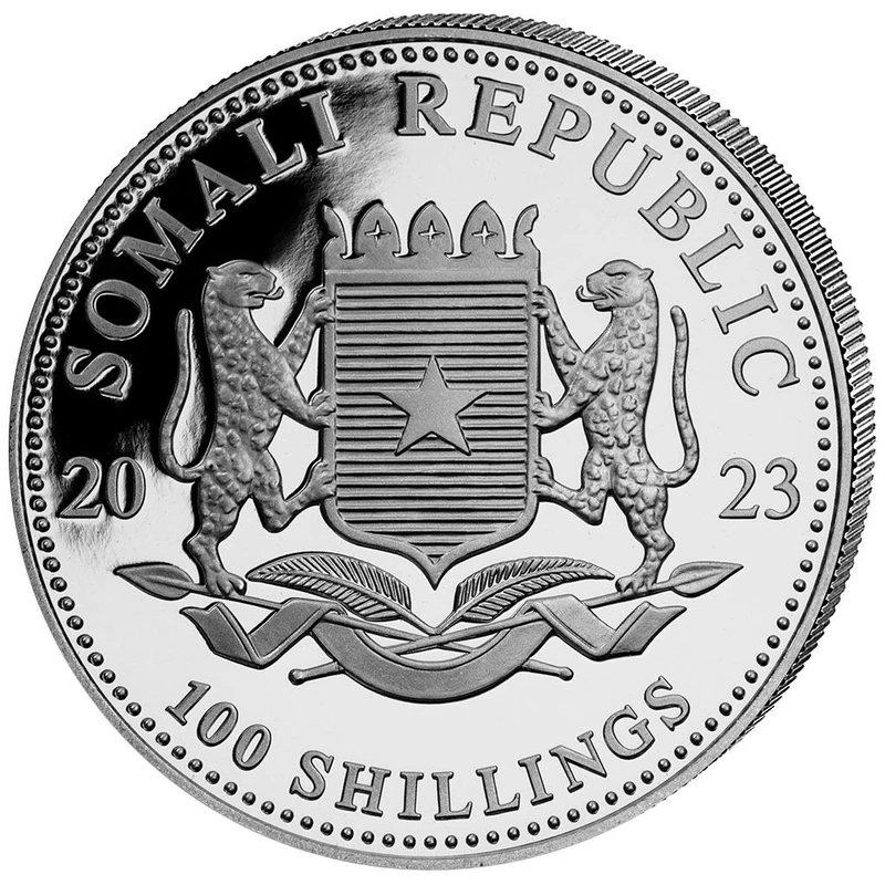 Somali silver coin 