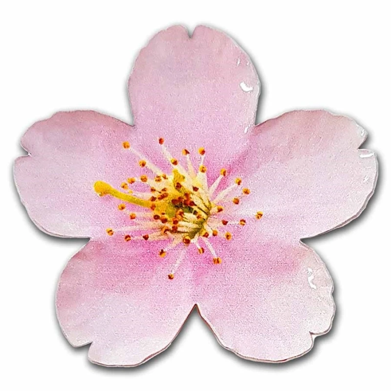 Moneta d'argento Niue 