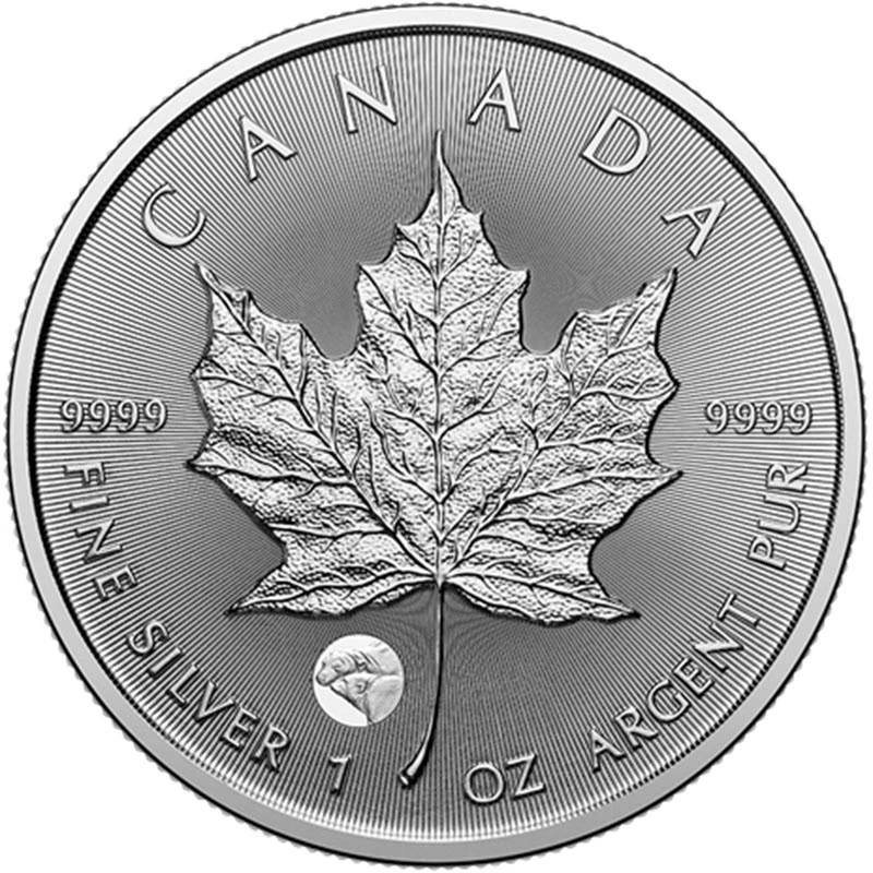 Kanada: Silbermünze Maple Leaf Eisbär 2025 1 oz Sammlermünzen