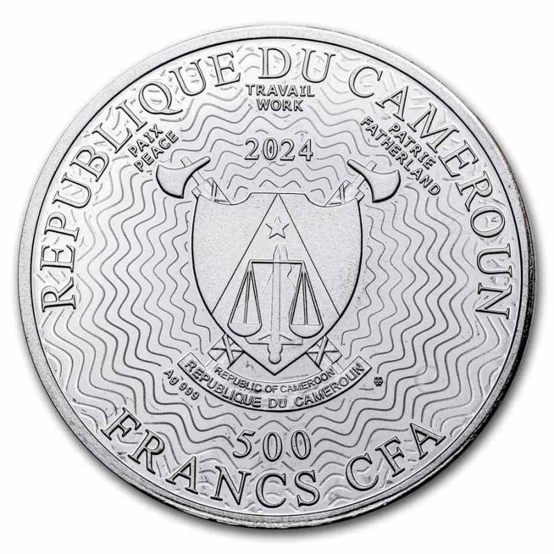 Cameroon: silver coin Starry night 2024 Proof 17.5 g Collectible coins