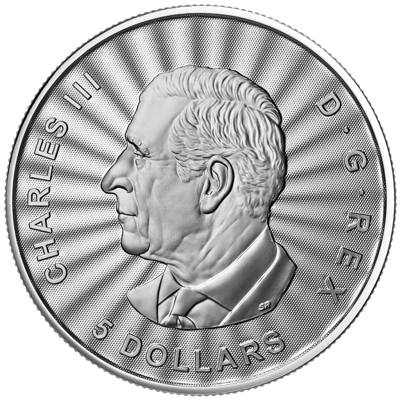 Canada: moneta d'argento The Majestic Polar Bear 2025 1 oncia Monete da collezione