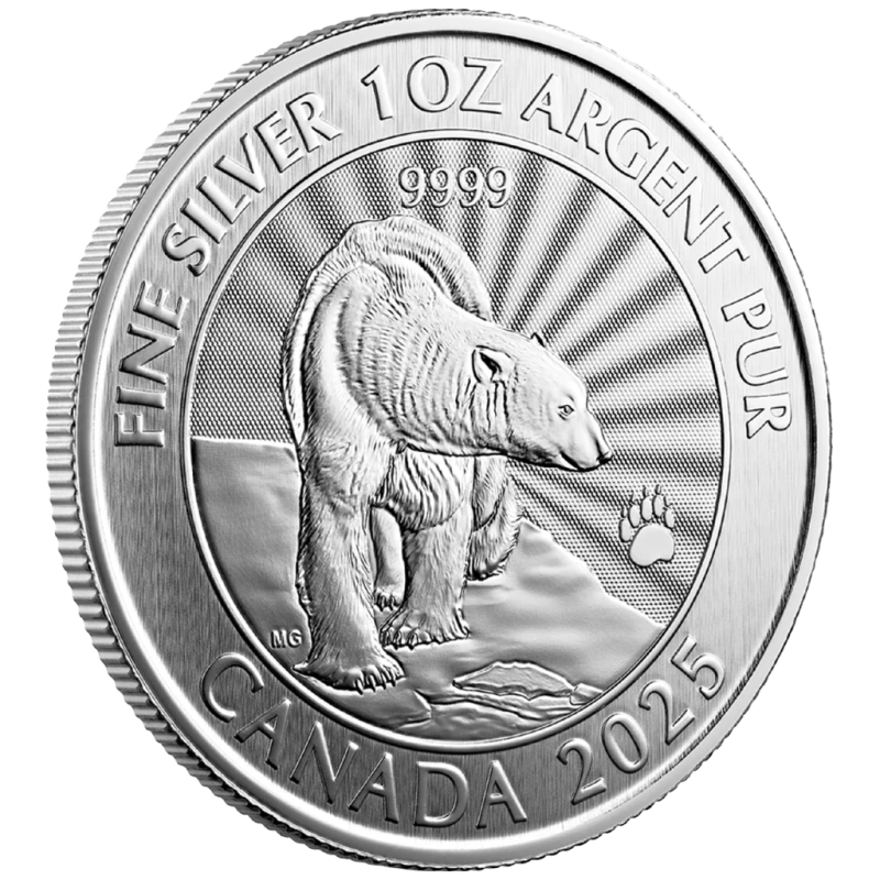 Canada: moneta d'argento The Majestic Polar Bear 2025 1 oncia Monete da collezione