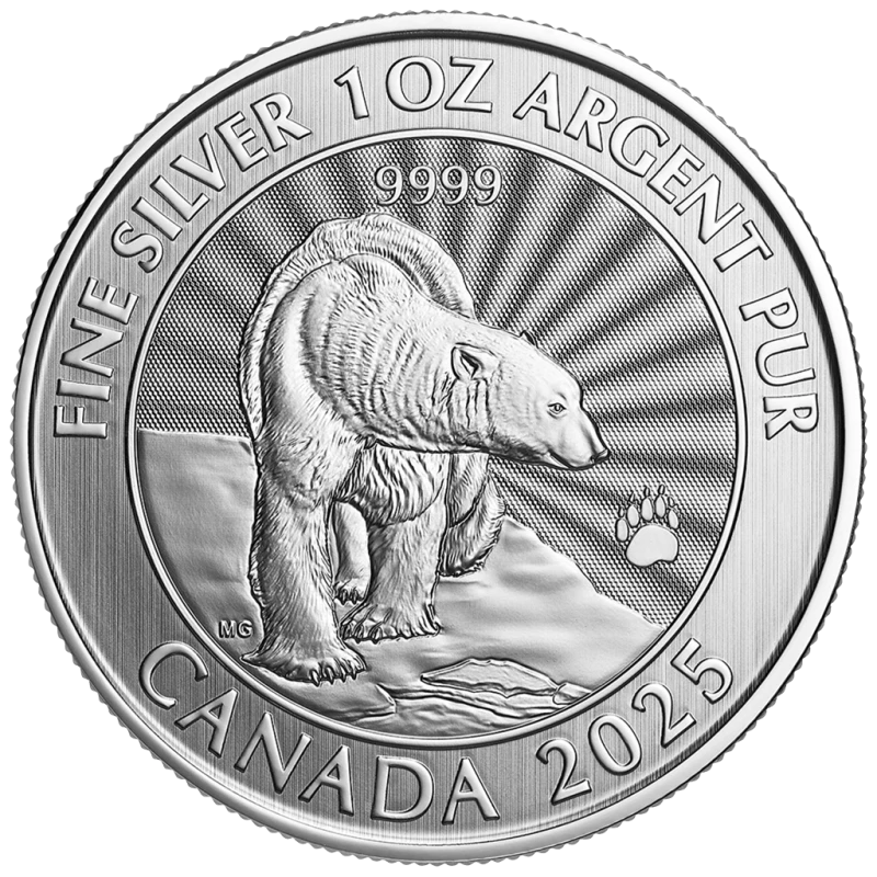 Canada: moneta d'argento The Majestic Polar Bear 2025 1 oncia Monete da collezione