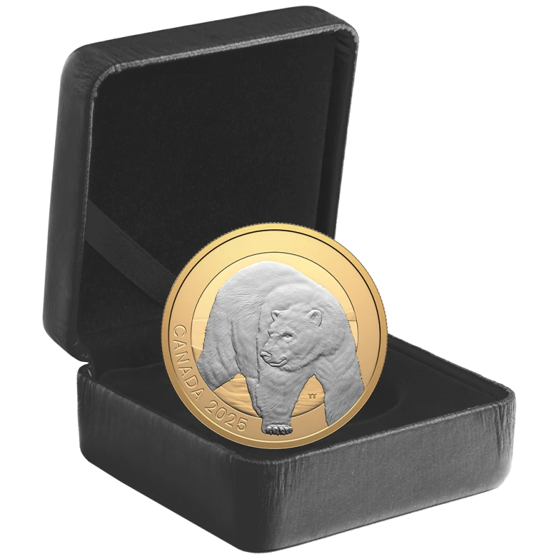 Canada: moneta d'argento Orso polare 2025 Proof dorata 1 oncia Monete da collezione
