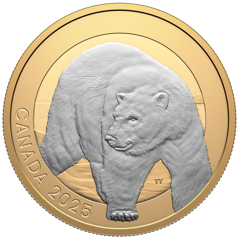 Canada: moneta d'argento Orso polare 2025 Proof dorata 1 oncia Monete da collezione