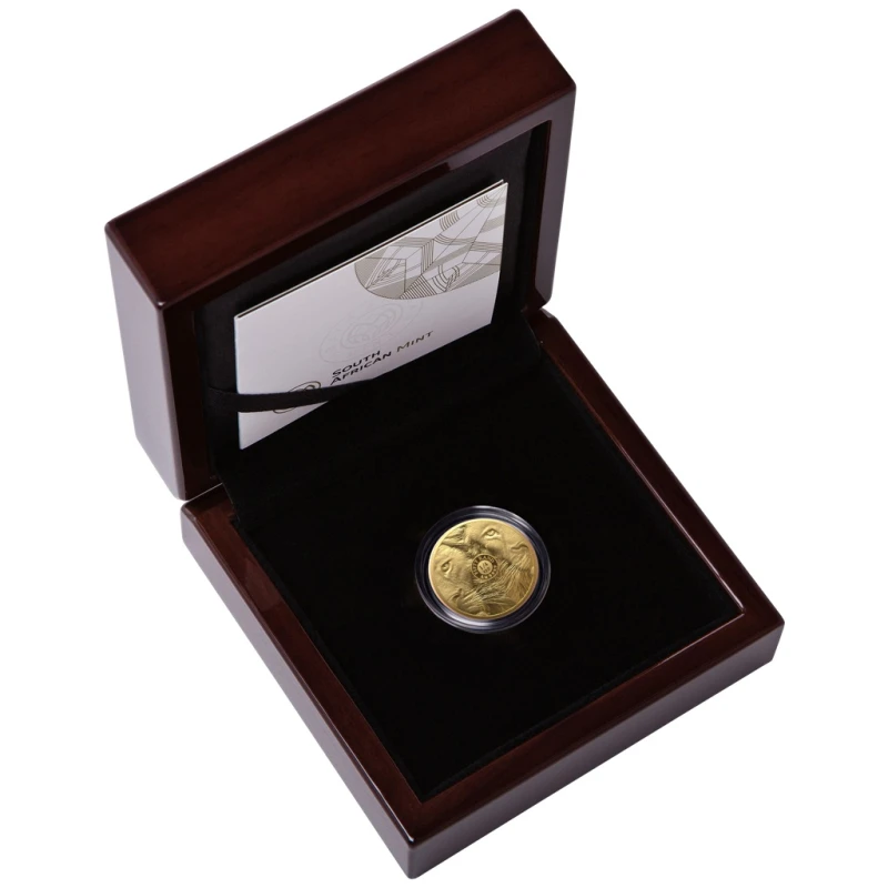 Afrique du Sud : pièce d'or Lion 2025 Belle Épreuve 1/4 oz Pièces de collection