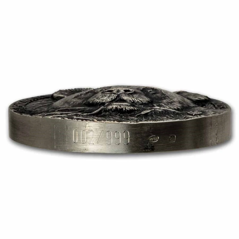 Côte d'Ivoire : pièce en argent Panda 2025 5 oz Pièces de collection
