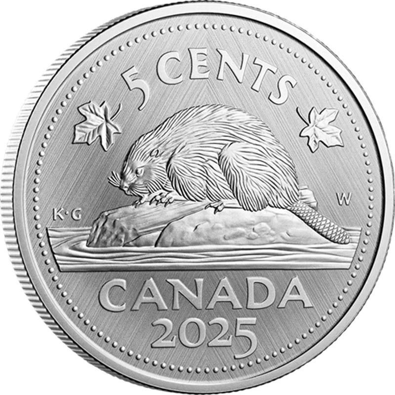 Canada : pièce d'argent Castor 2025 1 once Pièces de collection