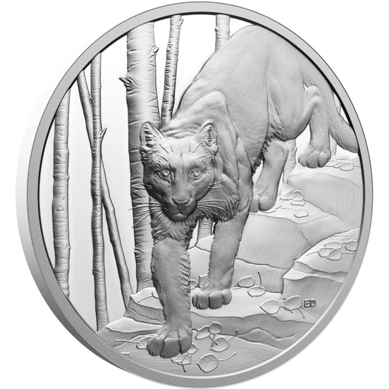 Kanada: Silbermünze Cougar 2024 polierte Platte 1 oz Sammlermünzen