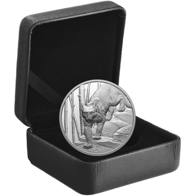 Kanada: Silbermünze Cougar 2024 polierte Platte 1 oz Sammlermünzen