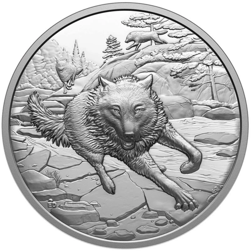 Kanada: Silbermünze Grauer Wolf 2025 polierte Platte 1 oz Sammlermünzen