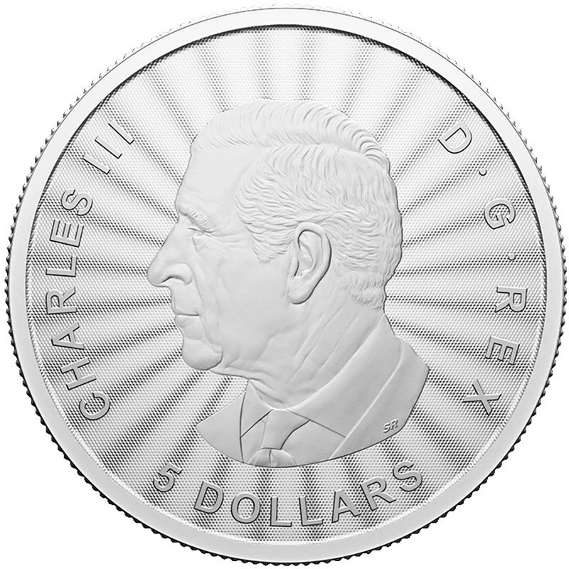 Canada : pièce d'argent The Majestic Polar Bear 2024 1 once Pièces de collection