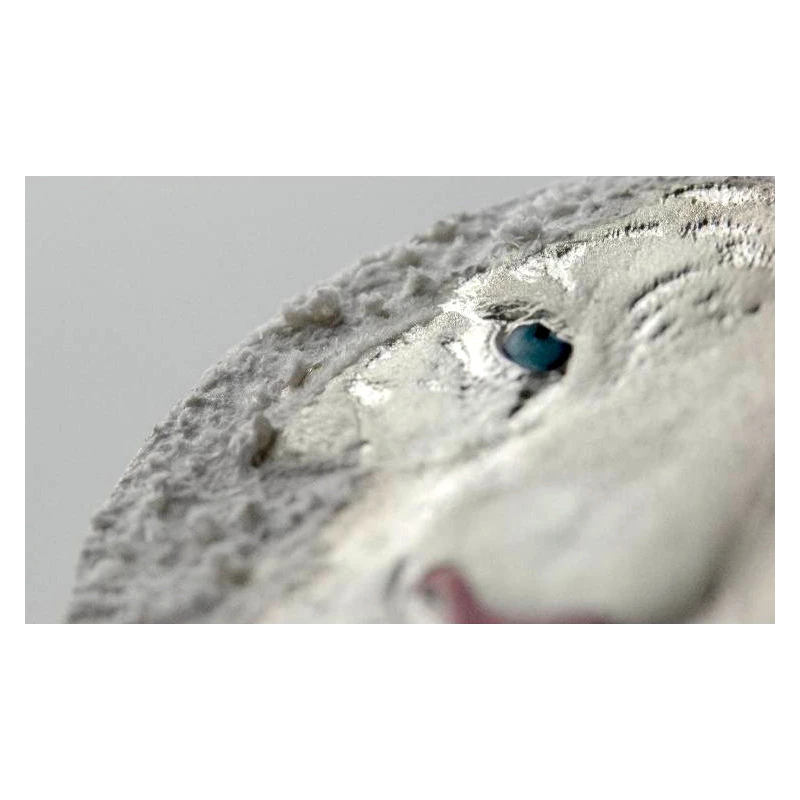 Niue: moneta d'argento White Tiger 2022 3 oncia Monete da collezione