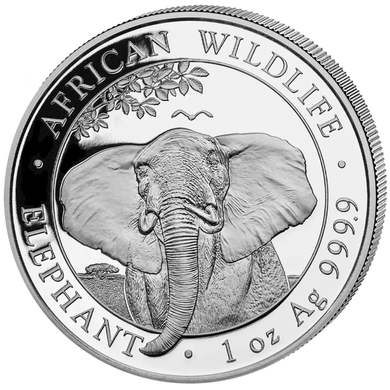 Somalia Silber-Anlagemünze African Wildlife Elephant 2021 1 oz Anlagemünzen