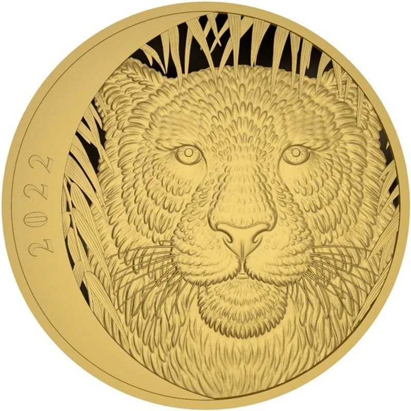Goldmünze Jahr des Tigers 2022 polierte Platte 1 Unze Sammlermünzen