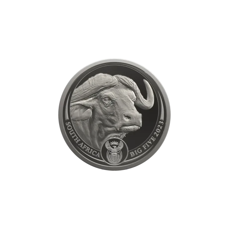 Moneta di platino del Sudafrica Buffalo 2023 Proof da 1 oncia Monete da collezione