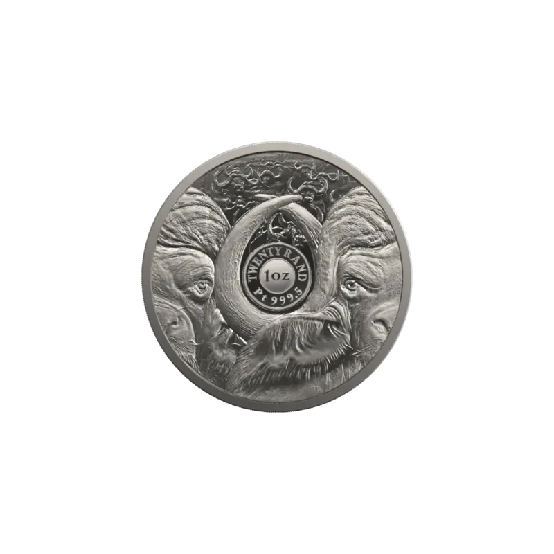 Moneta di platino del Sudafrica Buffalo 2023 Proof da 1 oncia Monete da collezione