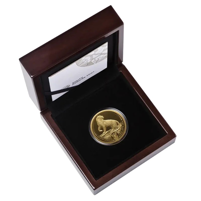 Südafrika Goldmünze Big Five III Leopard 2026 polierte Platte 1 oz Sammlermünzen